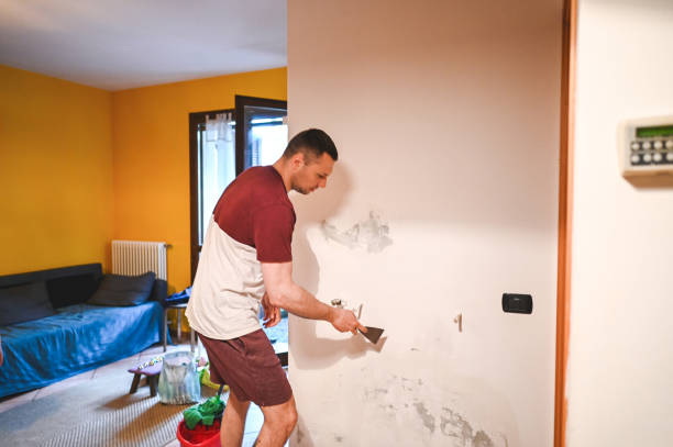 Best Post-Remediation Services in Wolfe City, TX